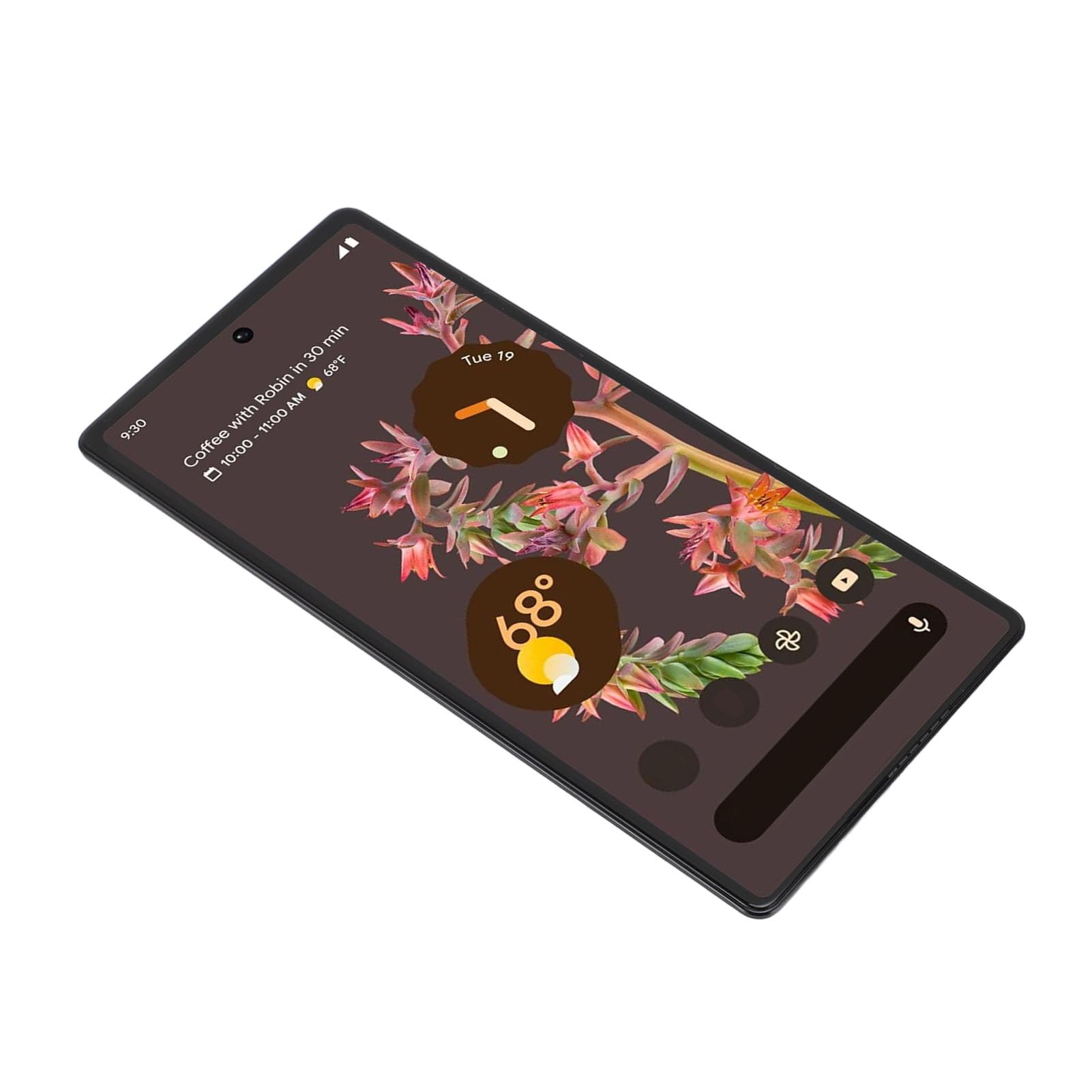 GOWENIC Schermo Ricambio Pixel 6 5G AMOLED Kit Utensili