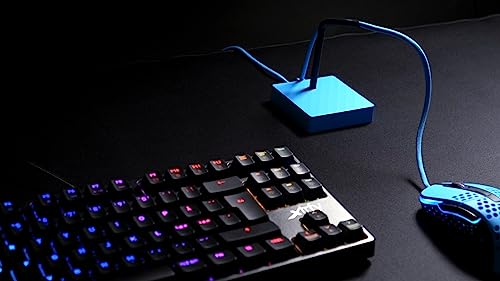 Xtrfy B4 mouse bungee portacavo Miami Blue silicone
