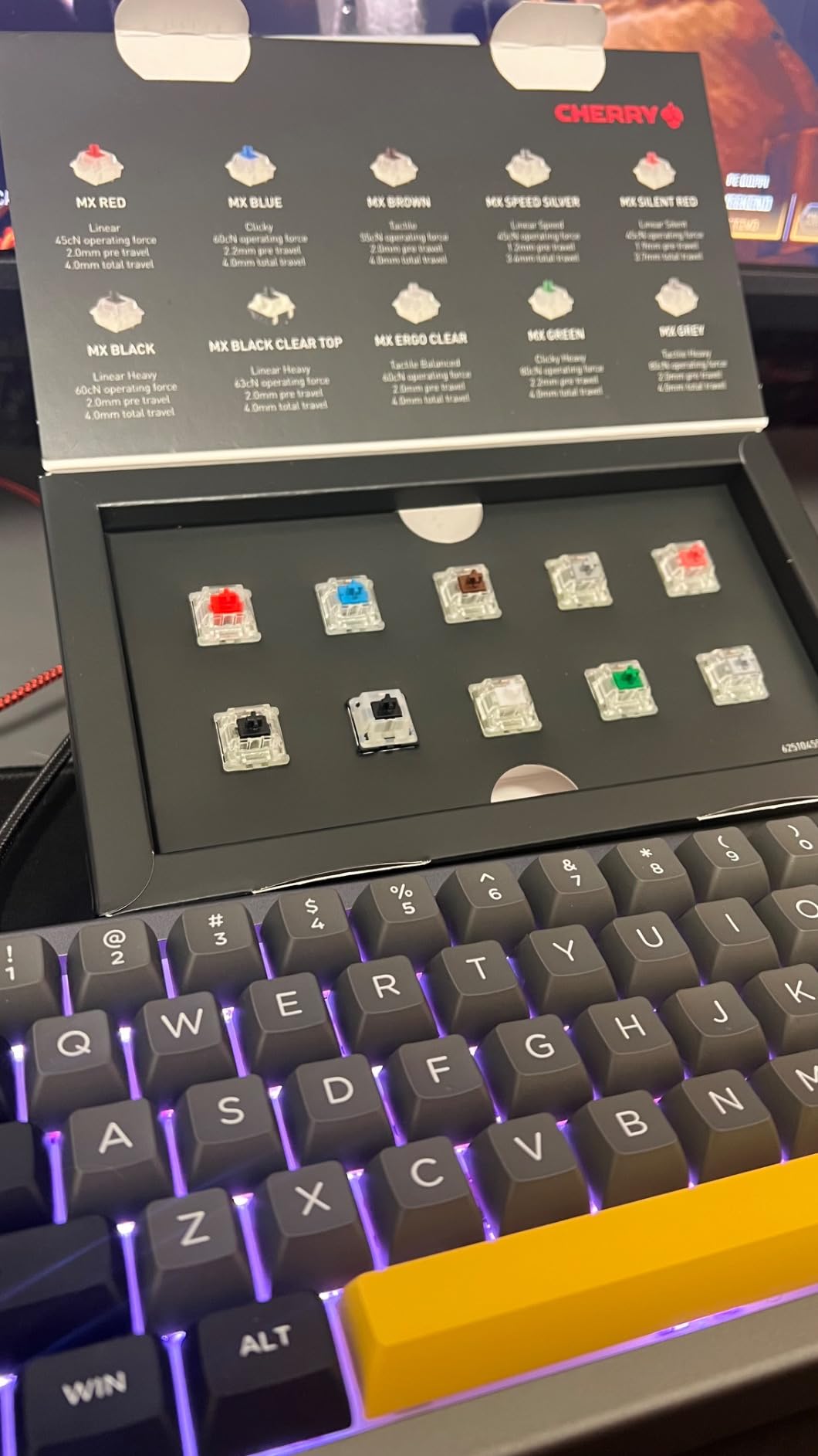 Cherry MX Experience Box switch tastiera 10 pezzi Grey