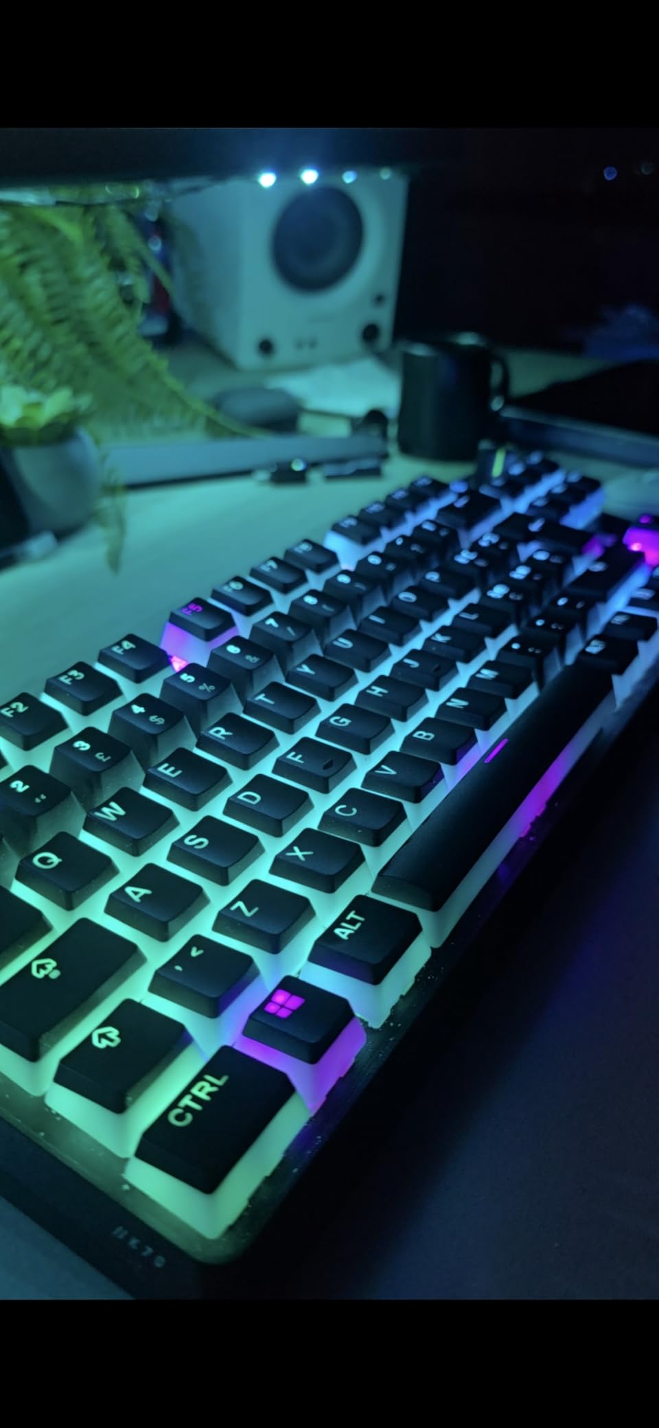 SteelSeries PrismCaps Copritasti Pudding PBT Neri UK