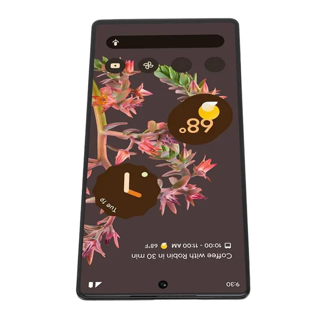 GOWENIC Schermo Ricambio Pixel 6 5G AMOLED Kit Utensili