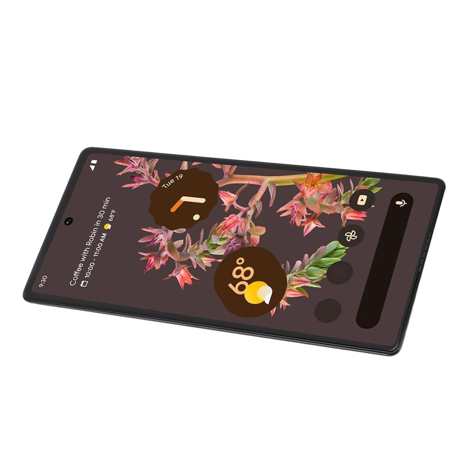 GOWENIC Schermo Ricambio Pixel 6 5G AMOLED Kit Utensili