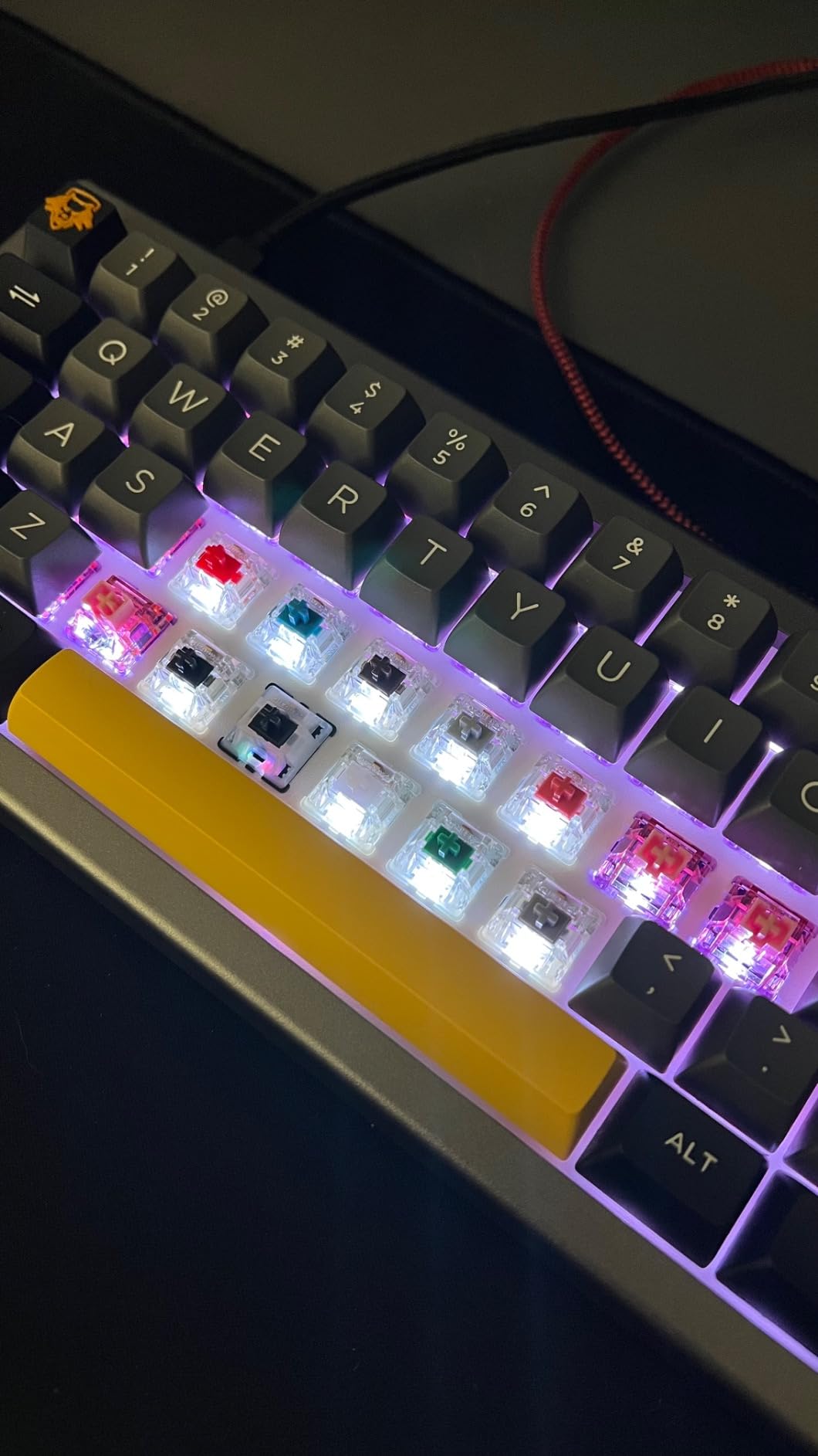 Cherry MX Experience Box switch tastiera 10 pezzi Grey