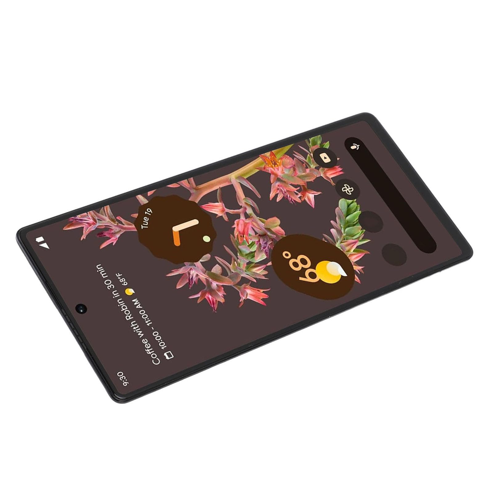 GOWENIC Schermo Ricambio Pixel 6 5G AMOLED Kit Utensili