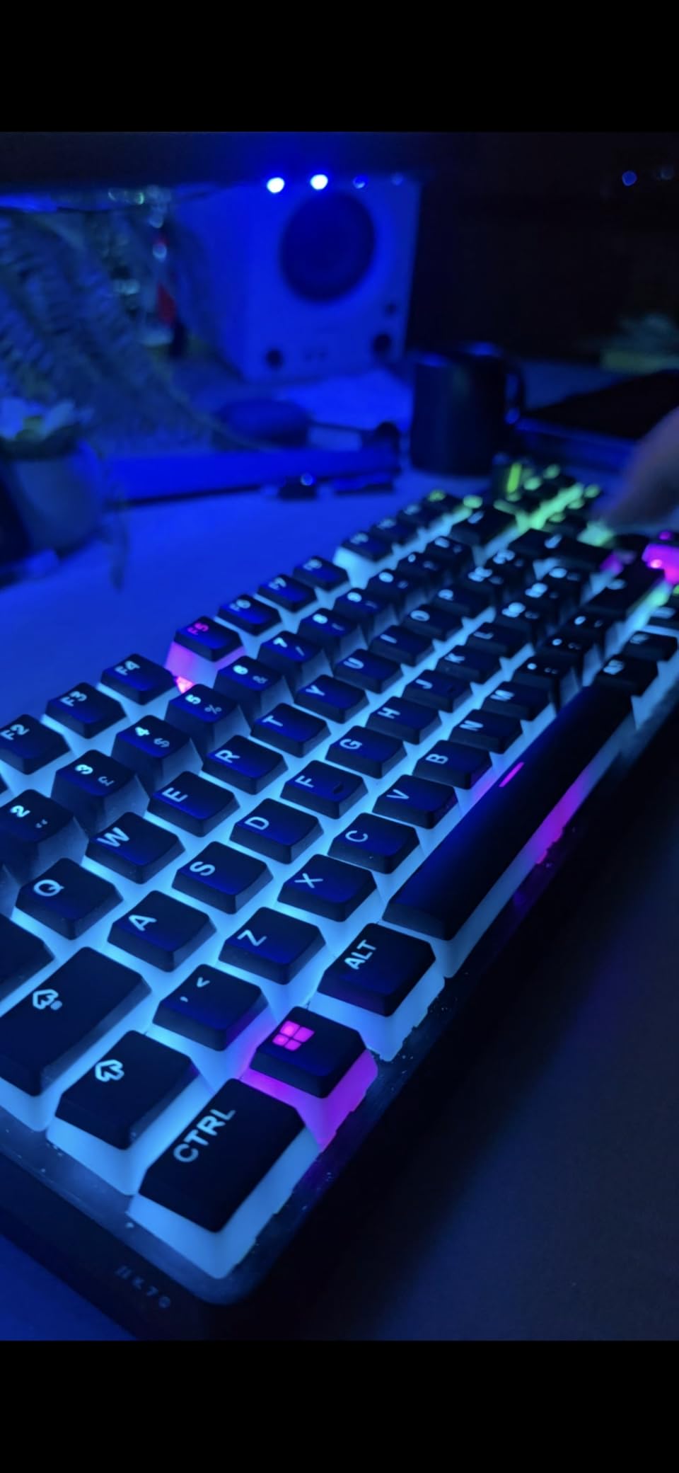 SteelSeries PrismCaps Copritasti Pudding PBT Neri UK