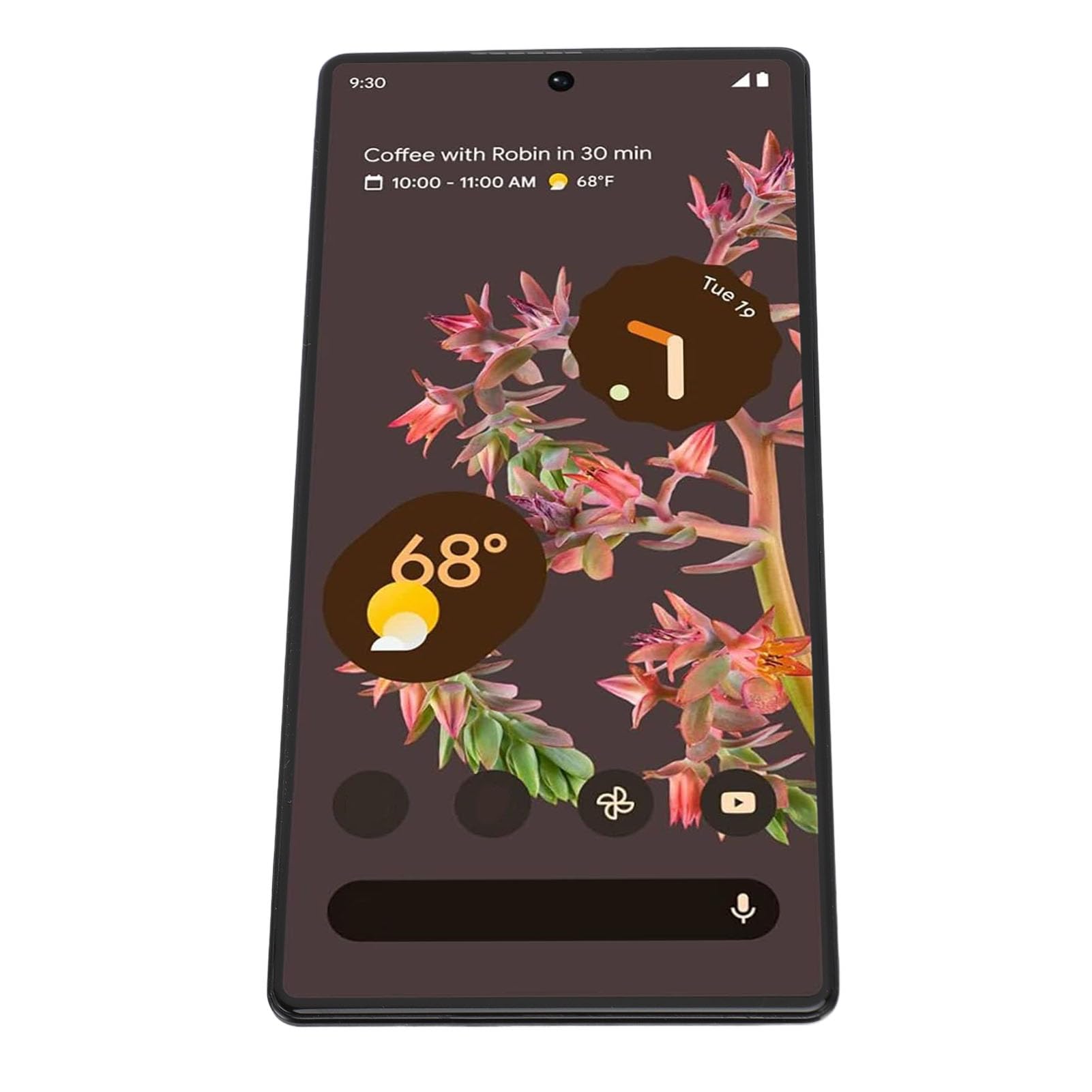 GOWENIC Schermo Ricambio Pixel 6 5G AMOLED Kit Utensili