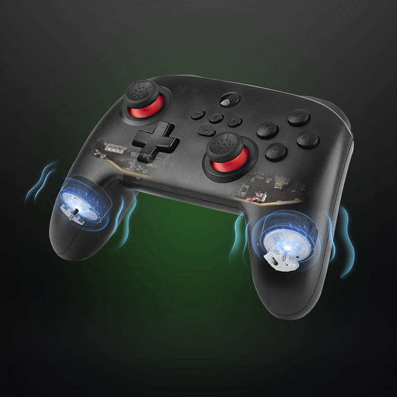 Skull Factory Controller Switch Black Controller PC USB-C Turbo
