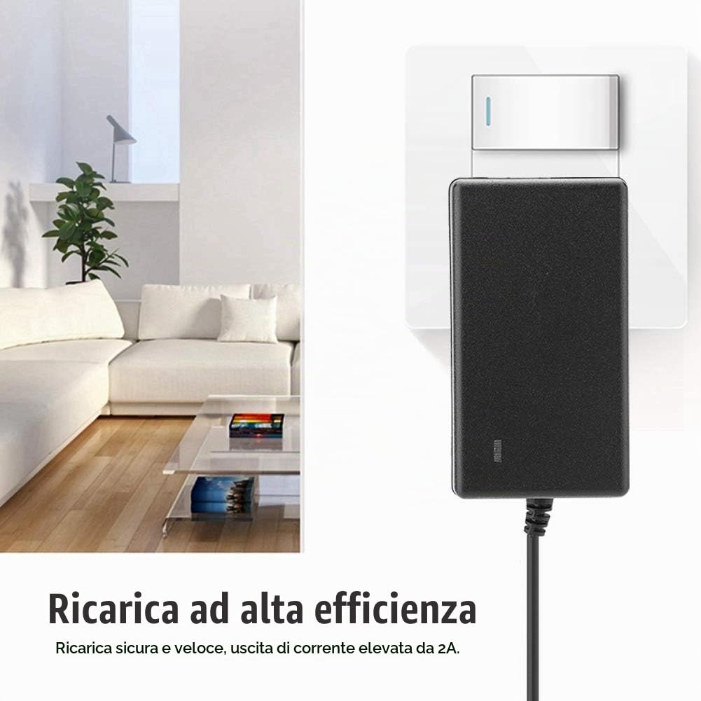 Gowenic caricabatterie litio 12,6V 2A LED alimentatore