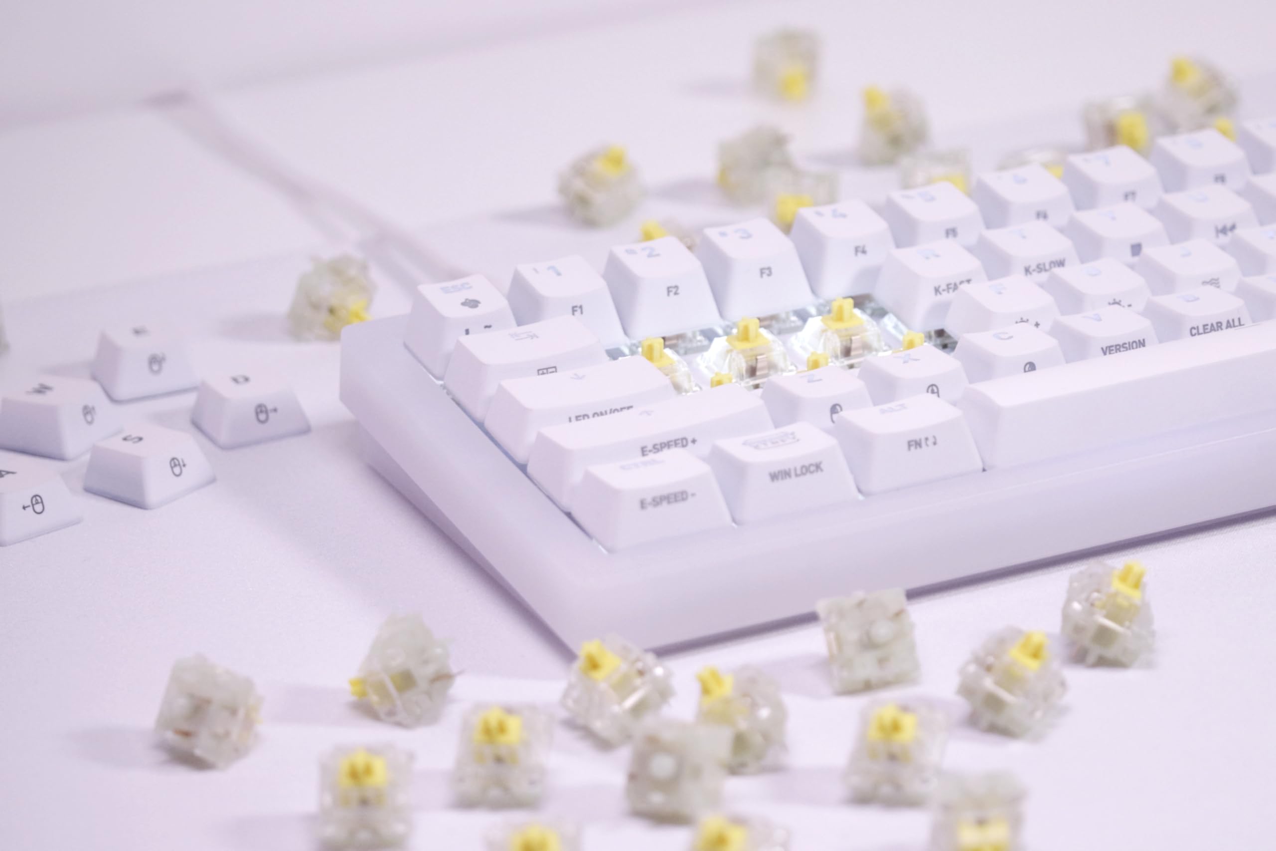 Xtrfy MX2A RGB Honey Switch Meccanici 36 Pezzi Tattili