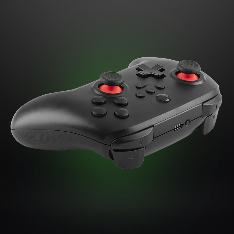 Skull Factory Controller Switch Black Controller PC USB-C Turbo