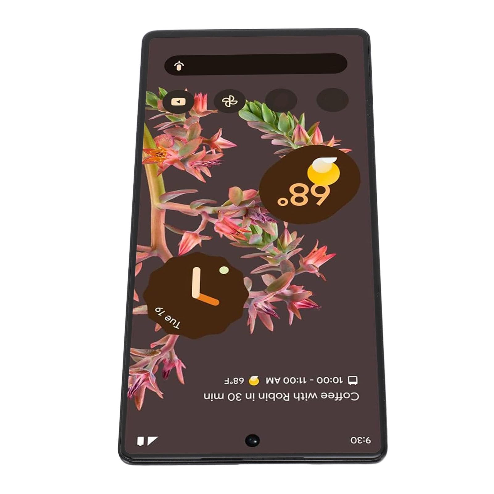 GOWENIC Schermo Ricambio Pixel 6 5G AMOLED Kit Utensili